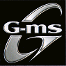 CASIO G-msロゴ